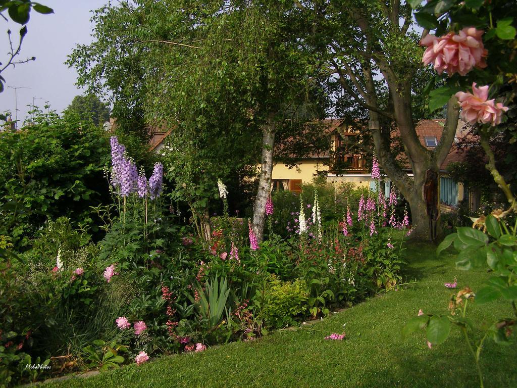 Gite Des Hortillonnages Camon  Esterno foto