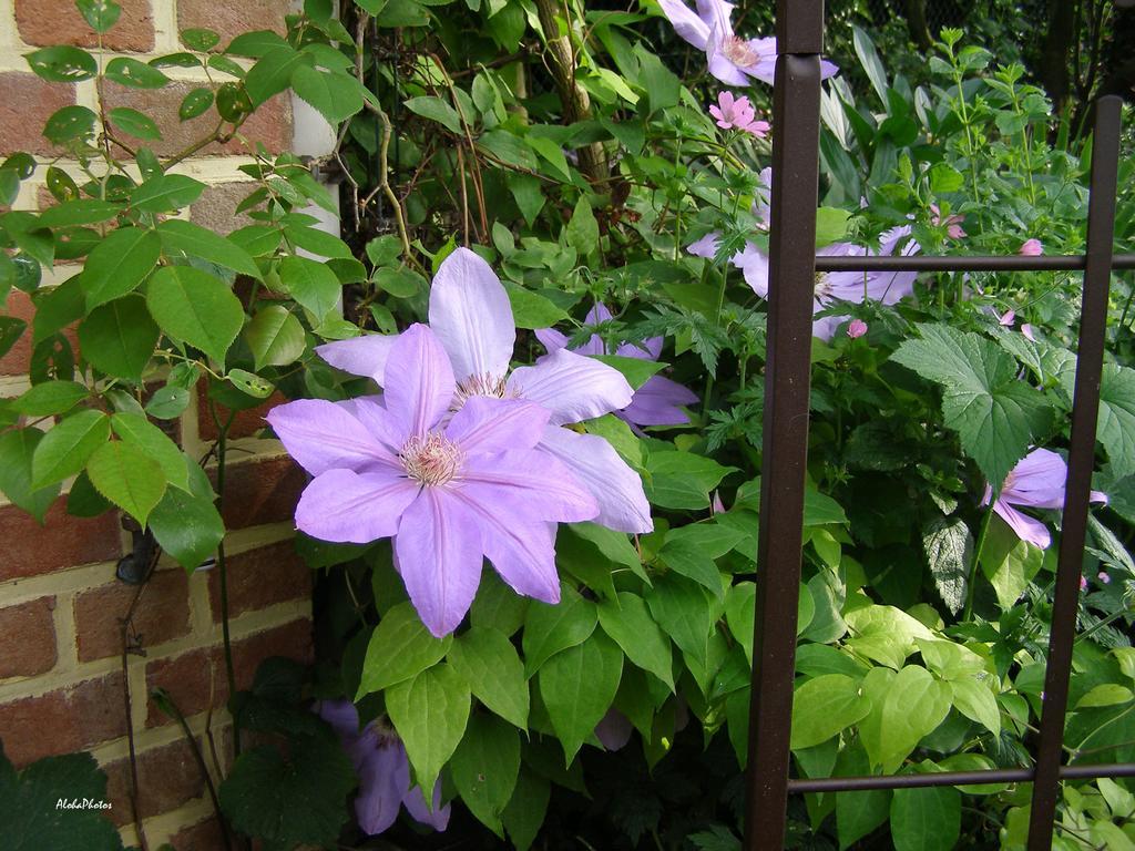 Gite Des Hortillonnages Camon  Esterno foto